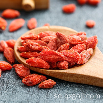 Rå organisk goji bär torkad frukt lycium bär